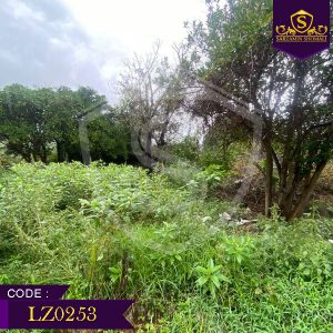 زمین 272 متر مربع با پروانه ساخت | چونچنان