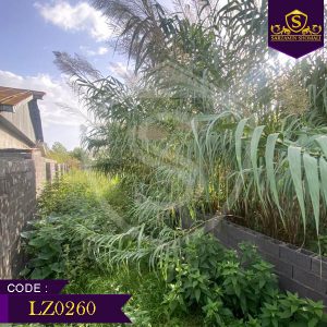 زمین 300 مسکونی | چوکده