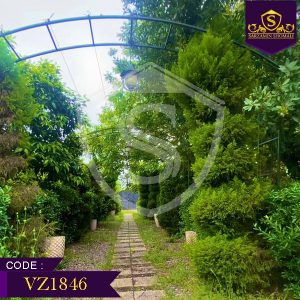 ویلا باغ 2500 متری استخردار | خشک اسطلخ